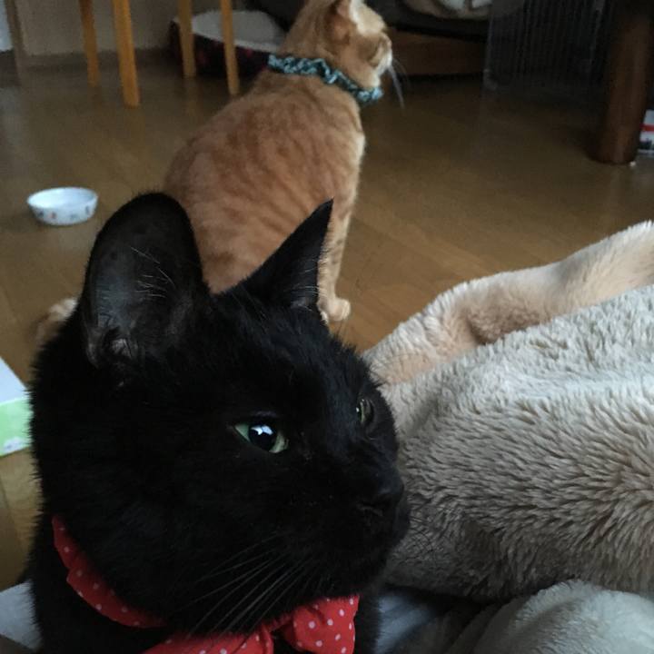 Aeb397d5 67f3 4ef9 bdd1 bd341533ceb3 1551872038931