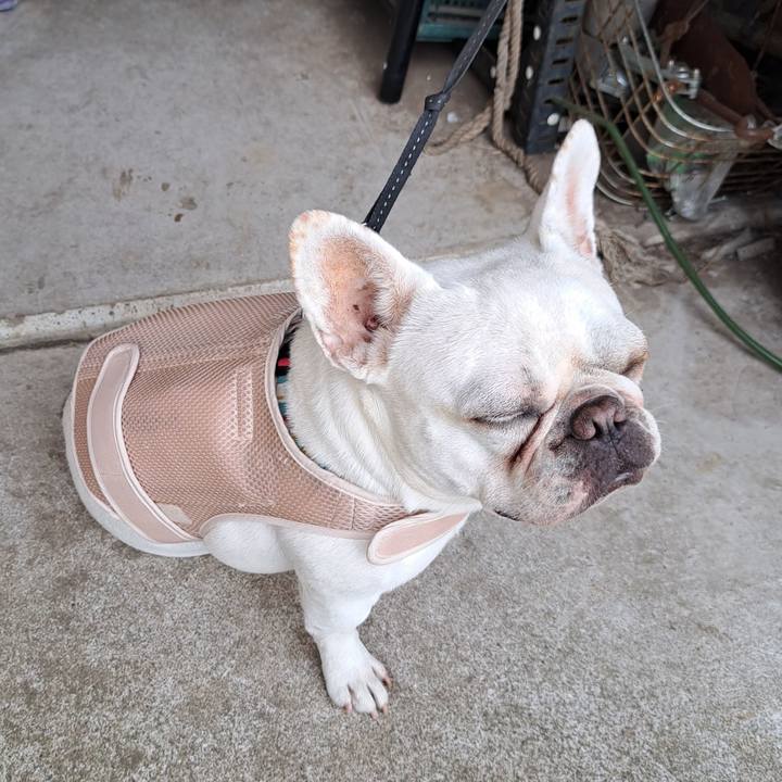 Aeb3b205 ff4a 4c14 8ad7 02817b363b25 1689754862756