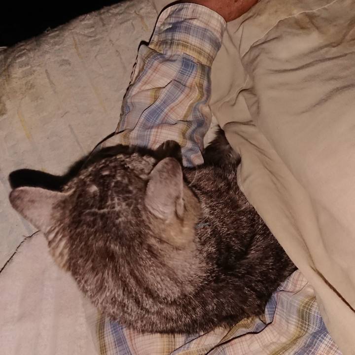 Aeb3d2bc 4366 4663 89d0 a35d97e58144 1570650903046