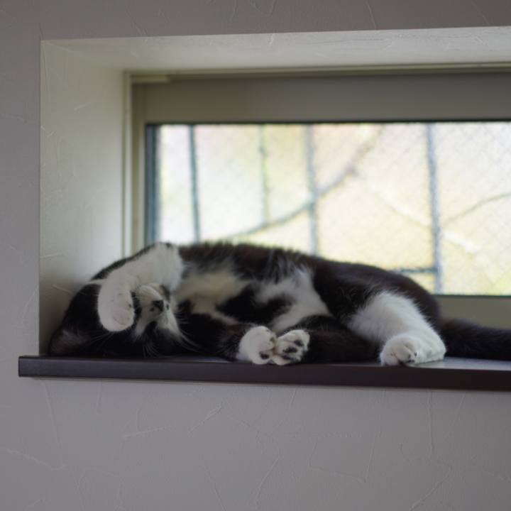 Aeb3f693 0ce4 49e1 8089 5e65deeeabac 1628684569312