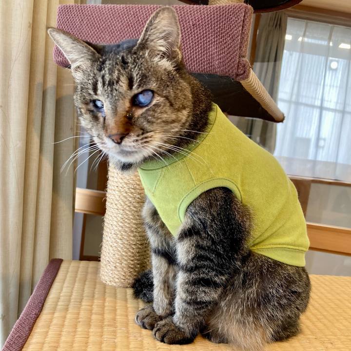 Aeb4250c f41e 43bb 970d 3ec6f55f68f1 1680473698282