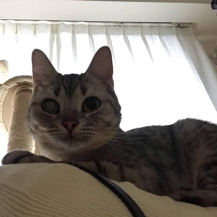 Aeb4270f 29ee 4d4a aa27 f538dc903aa7 1545869104233