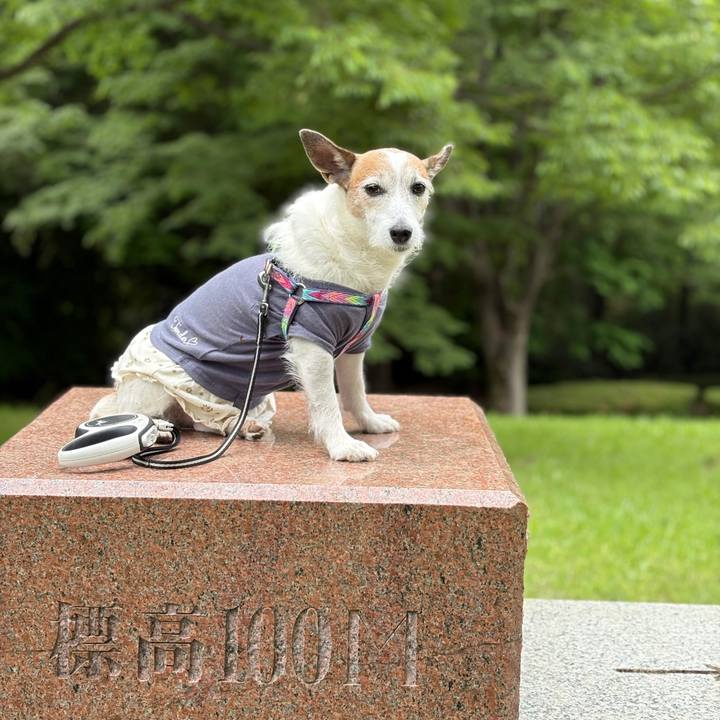 Aeb42f3c 8f13 4a86 83f9 91b4f9762c49 1748302150604