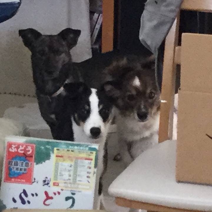 Aeb444b0 7659 4674 857d 06dfe026806d 1563967572581