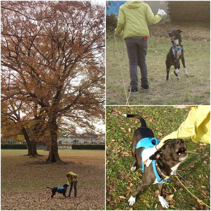 Aeb44509 0097 4224 9295 fd733c3c5f90 1606437993092