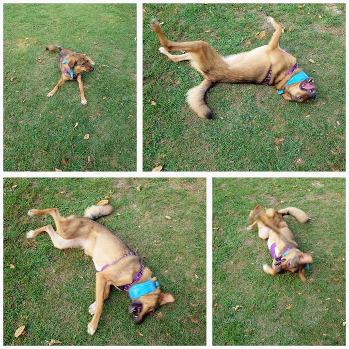 Aeb44d3d c7c6 482a ab0e f5d9d619ad0c 1755922902247