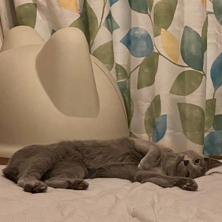 Aeb44d9f 1ccc 4599 b1a5 b6301734d48b 1629847001765