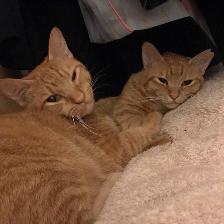 Aeb4eb68 a654 418a 9591 83970149aceb 1595004247579