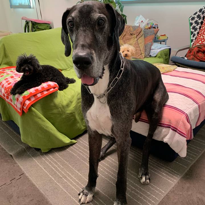 Aeb4ee3f ce34 4c0c 8ec5 287c1294429c 1597703038785