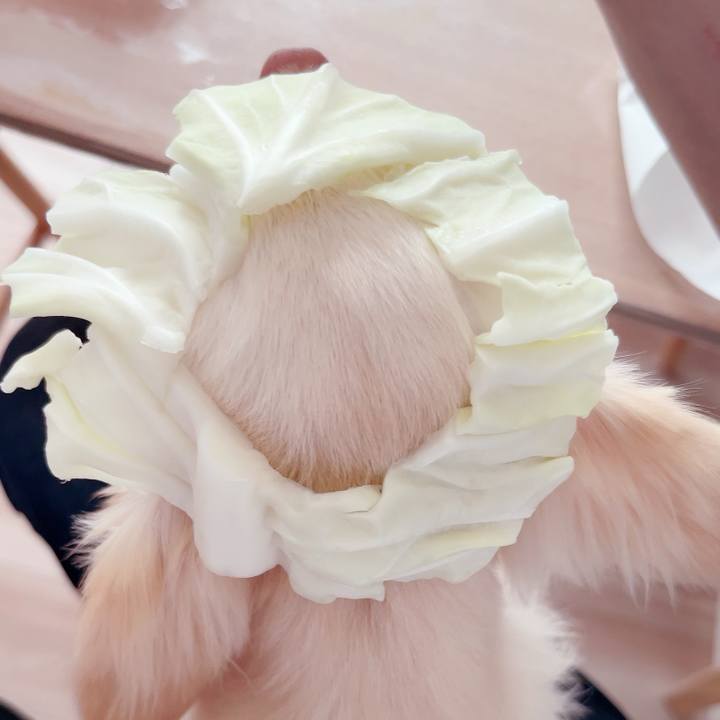 Aeb4f817 3cd9 4b71 83a8 b3d8981e94e3 1687081037433