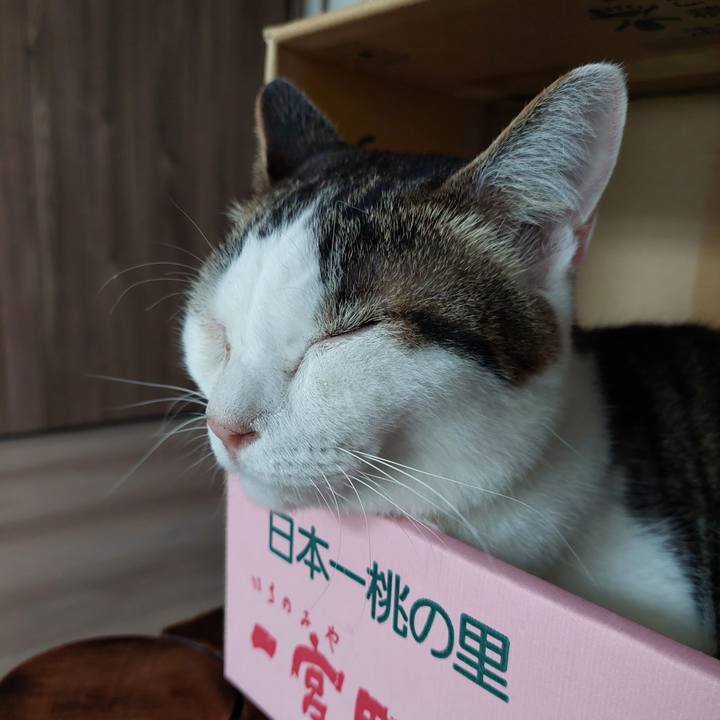 Aeb505f1 e082 48fc 99fb 0ea39366a362 1695769850667