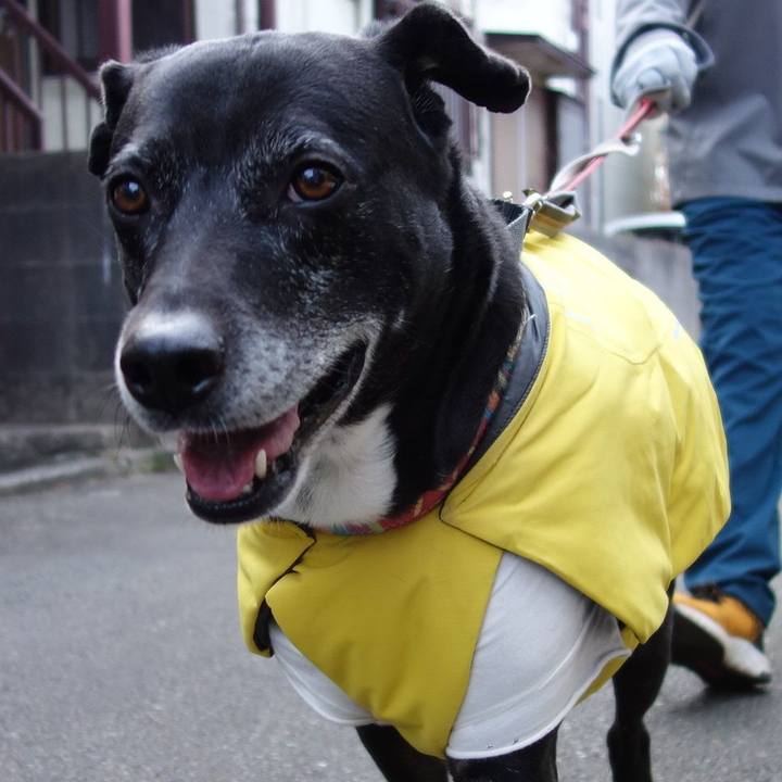 Aeb51e5b 27be 4480 9732 a65983f9a9fc 1738367741199