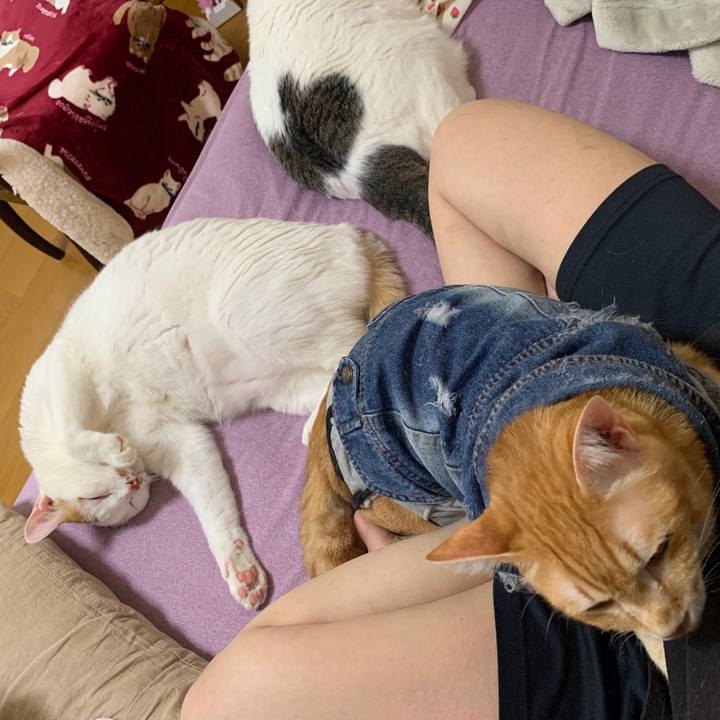 Aeb5249b eb78 457f ae0c 7b25bd2f0a53 1650923341766