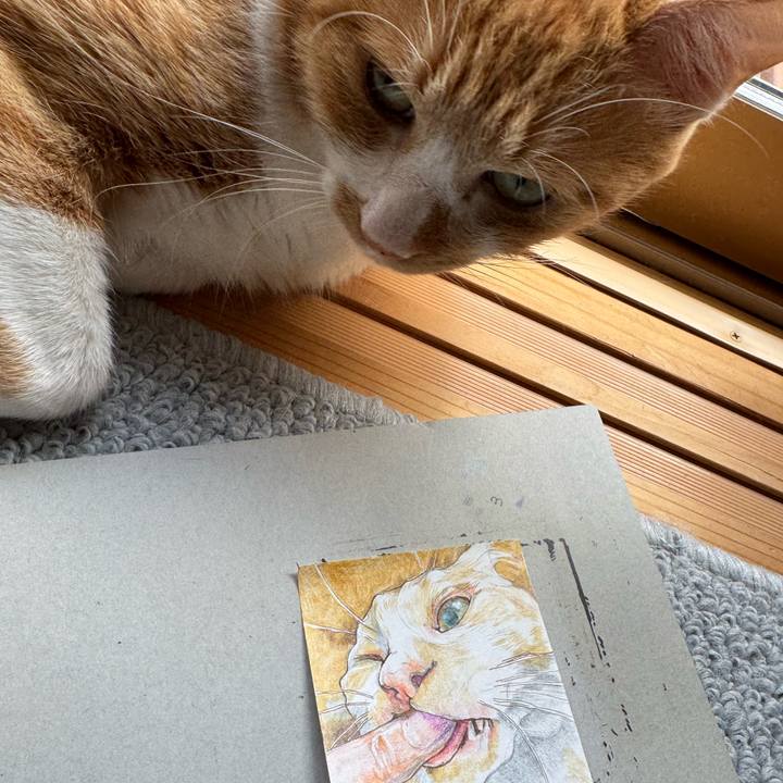 Aeb54d94 20f5 4f0b bcb2 a954c5fb0972 1759231206695