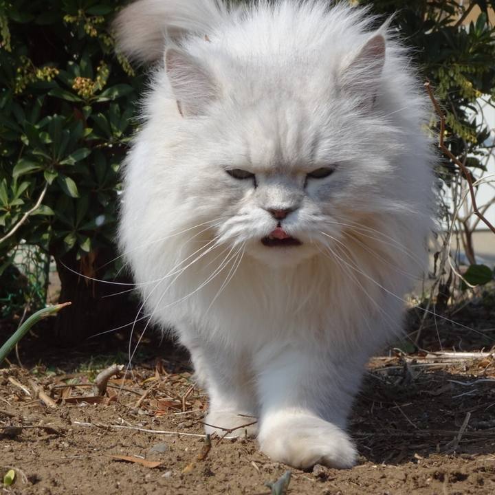 Aeb54e8d 039f 4718 9a43 5e0ff45ffb61 1552788536972