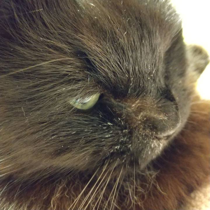 Aeb5543c aa94 4665 91e6 a62d3d03388d 1621415650064