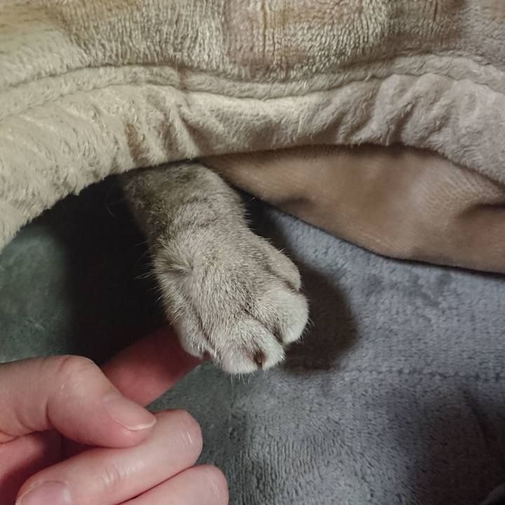 Aeb56c3e d72b 49a4 b94e dbaf67f6ff53 1523628250605