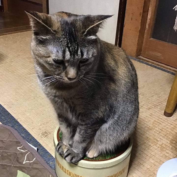 Aeb585fb 7c40 4f09 a83f 85c59799185e 1687254483523