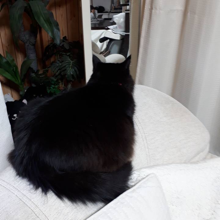 Aeb5892c d61d 4618 ac48 37a5d864f017 1518899937862