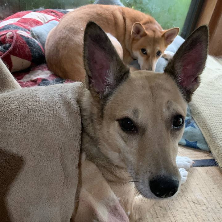 Aeb5c5cb 49f2 4b85 8093 b62cb3b91886 1602909648702