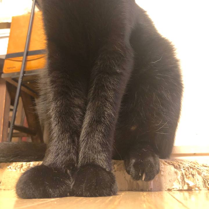 Aeb5d0bb 2312 4315 9aa3 b945e7e50a0e 1570967660675