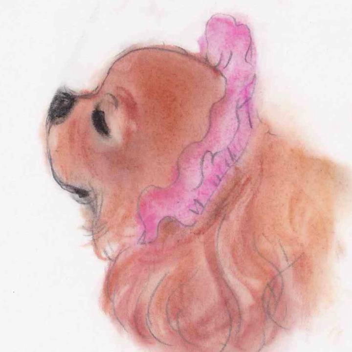 Aeb5d177 3652 41a8 9825 021627e00a5f 1631703794926