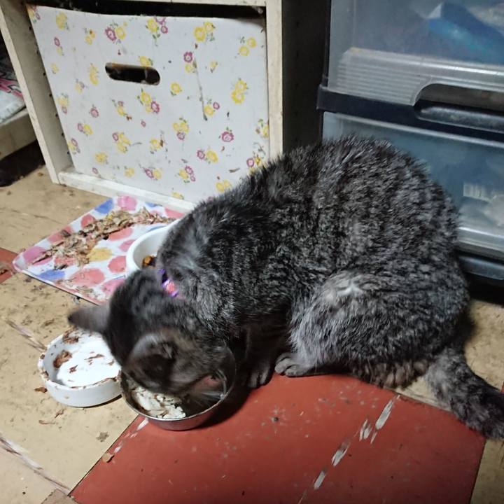 Aeb5ddfe 1fbc 4e8e 8946 5f86aca563f9 1578606315641