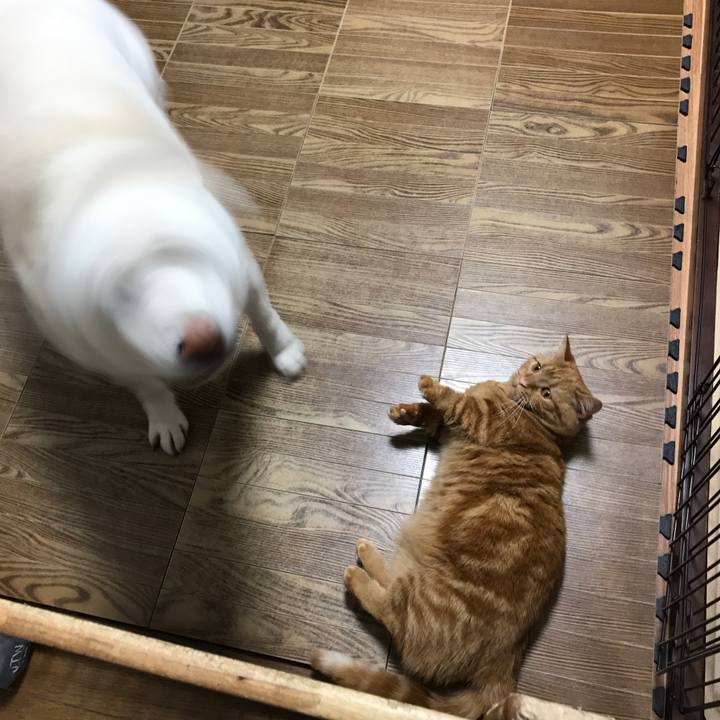 Aeb5f5fa 888f 423f 8499 9a1495dd759f 1522917847503