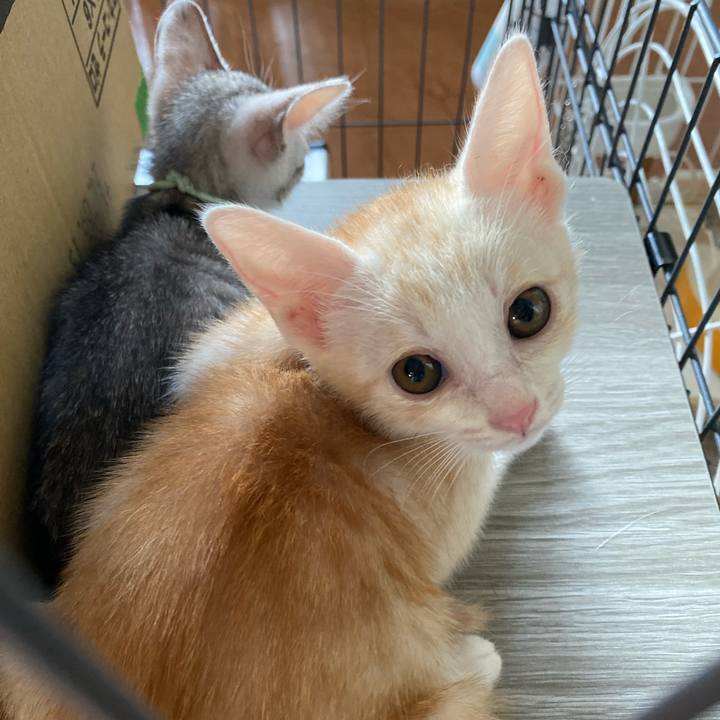 Aeb5fc0f d78c 47a2 a47d 25b5ec461c88 1718702160265