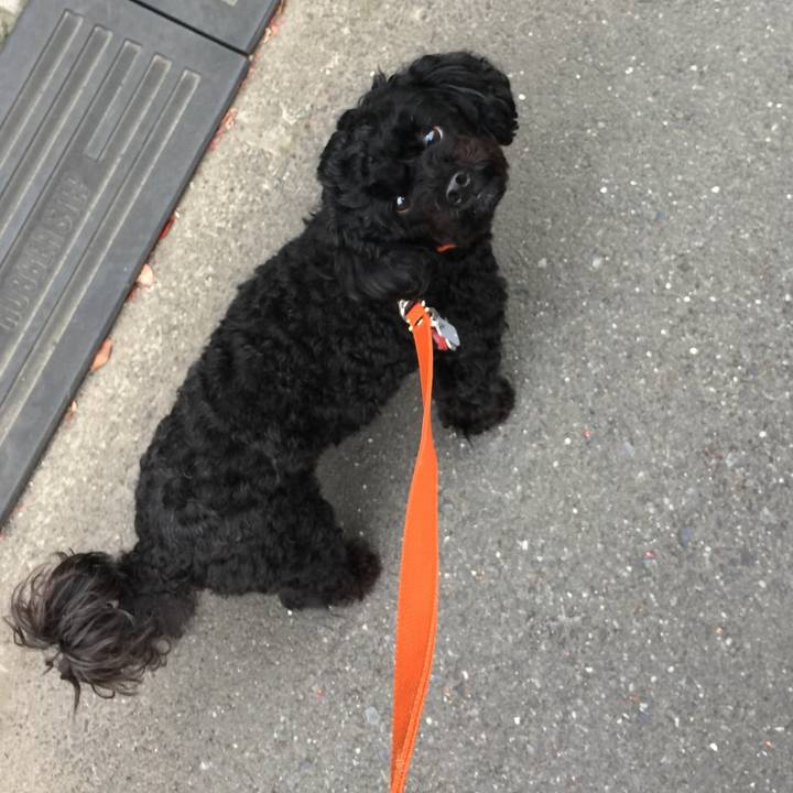 Aeb6129c 02ce 499d 91c2 0f59f0561b4a 1522883623073