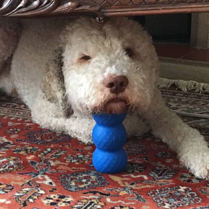 Aeb647c5 1671 4224 82a6 af741385ed62 1568734778475