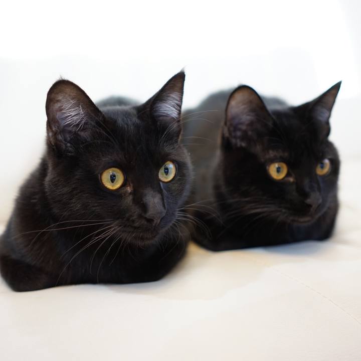 Aeb6aa72 31b0 4f03 9bc7 8e6bdd0abe7a 1517354635442