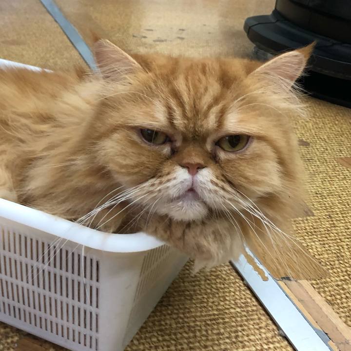 Aeb6d183 57ff 4921 a717 b56a14aca4e6 1577839305744