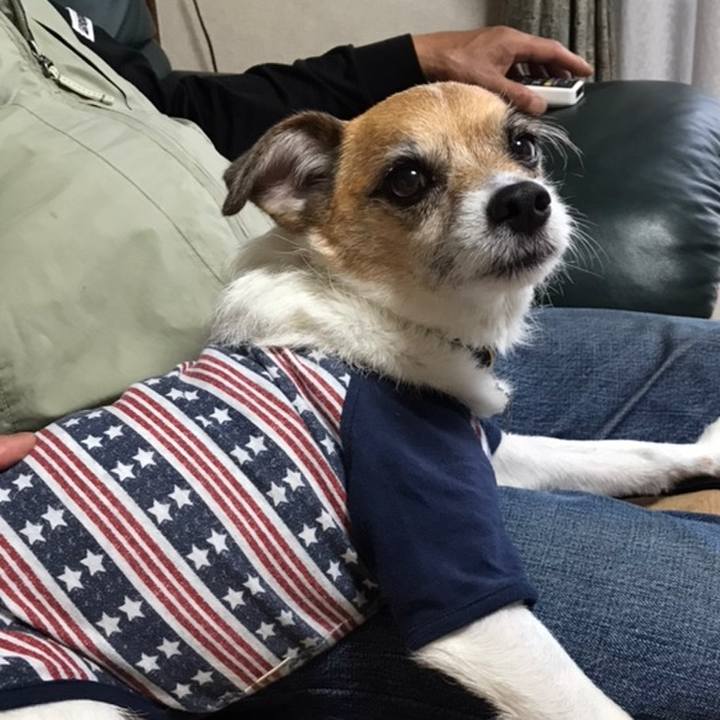 Aeb6de82 f1fa 4778 b6ce bbb320793015 1558428956822