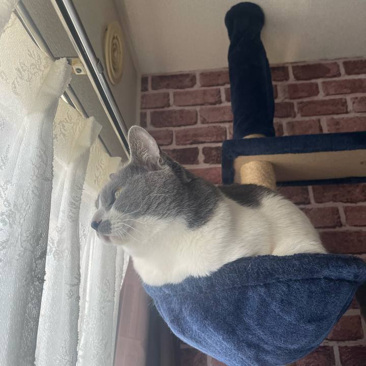 Aeb6ed07 3faa 4fd4 8822 84e804cdcc6d 1679440349677