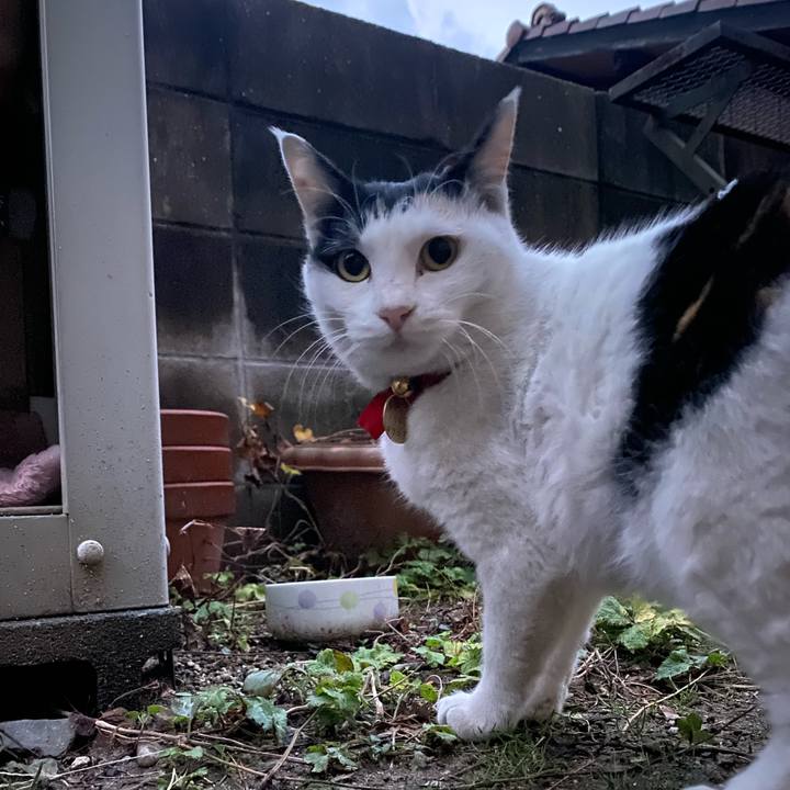 Aeb7086b 81d3 47bb b4a6 81177c01446b 1639693901218