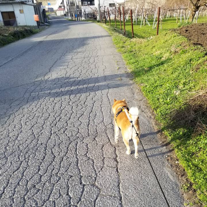 Aeb72f7a 6361 49be 8fea 8e9dce8d47bd 1617177133466