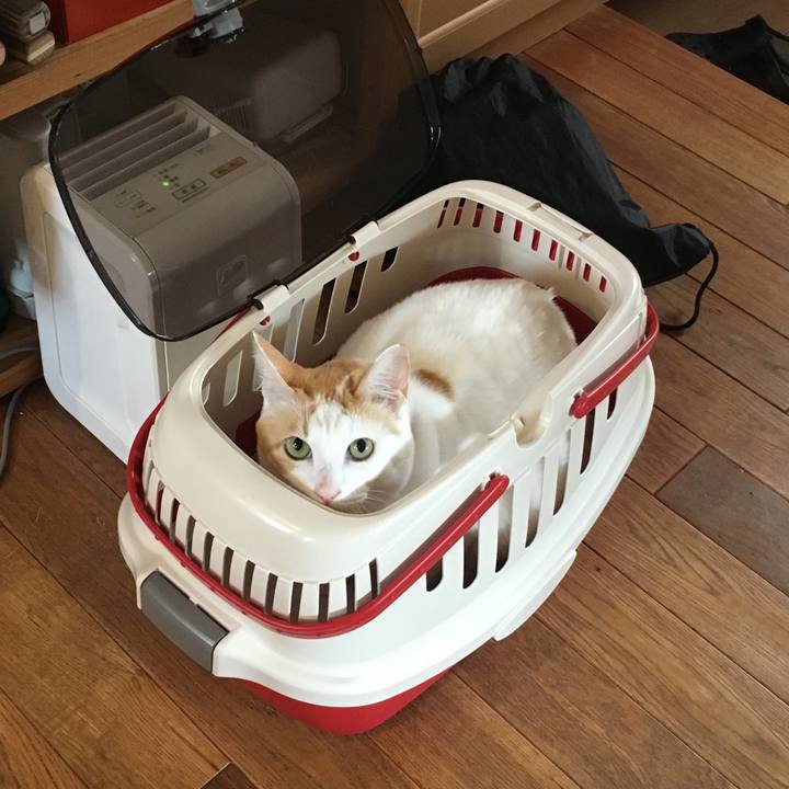 Aeb736a7 3b42 404a 81a4 8cbbd873a03c 1552903941352