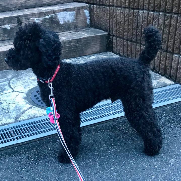 Aeb778f8 5975 45a8 8eed b27ba0085056 1565953530648