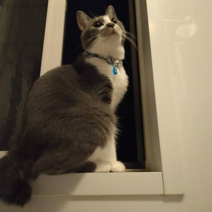 Aeb7977f bf69 45d0 9e40 153415d018fc 1664798175149