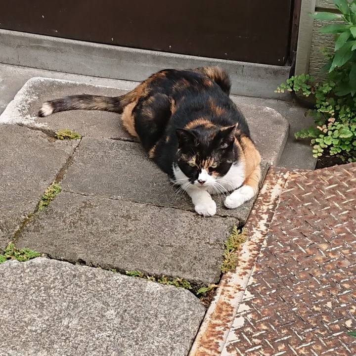 Aeb7a7a9 5d1c 4c43 8d7e d9a47cef382f 1691725935224