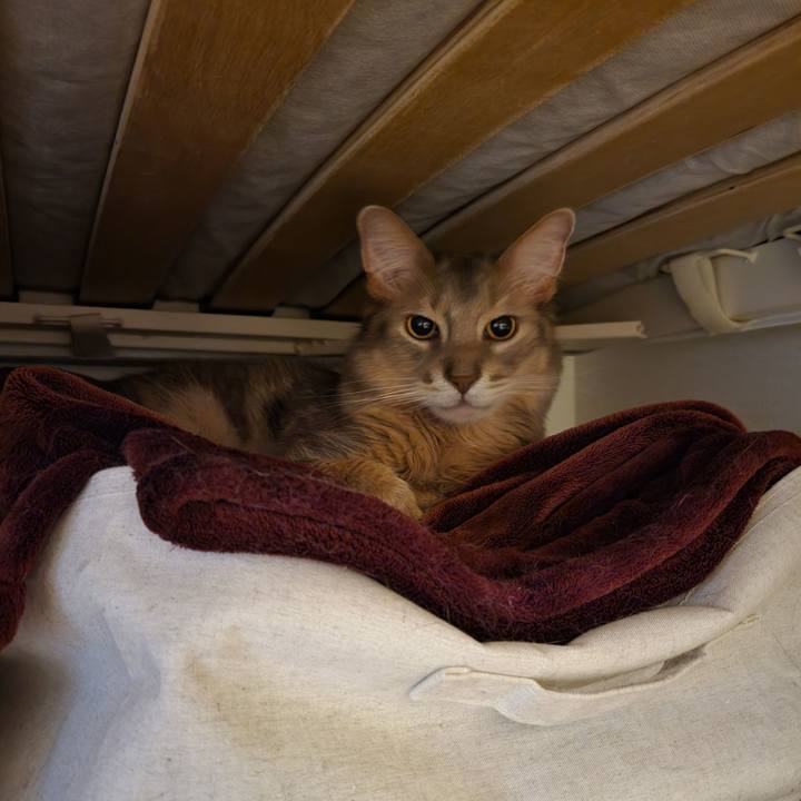 Aeb7a975 4f7d 40a5 8c4c 8d5f2925daba 1651148421123