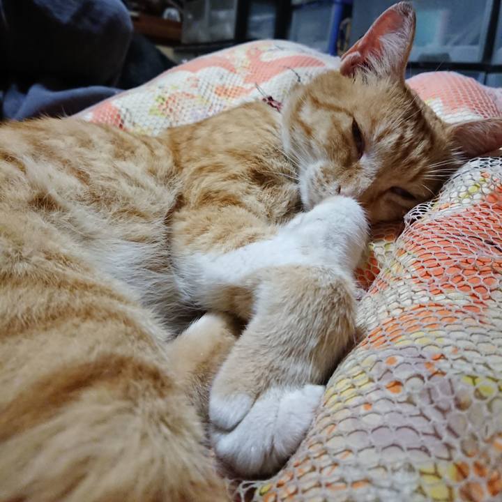 Aeb7d7ff 1fd4 41e8 b149 51c8d2ccc1e6 1561729342705