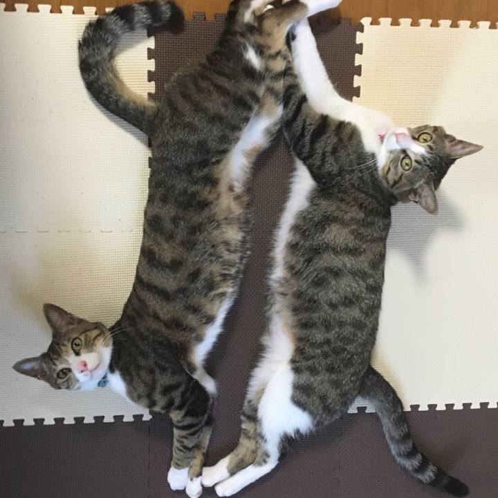 Aeb7db76 5c6c 4db0 9c91 57bd920253e0 1665827435205