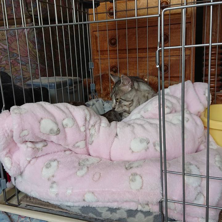 Aeb7e994 3fae 4e29 9b16 fb7aae808c70 1568723560181