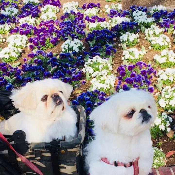 Aeb809b0 28ae 4a13 9dfd a9a24e2b7413 1585059992514