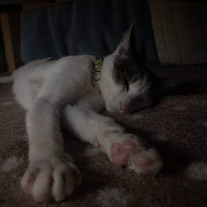 Aeb82c45 52f9 49bf a93c e41b8581a7d5 1580120489498