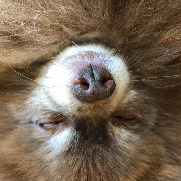 Aeb85b8a a5b1 43e1 b30b e4ded1559fbf 1624600912319