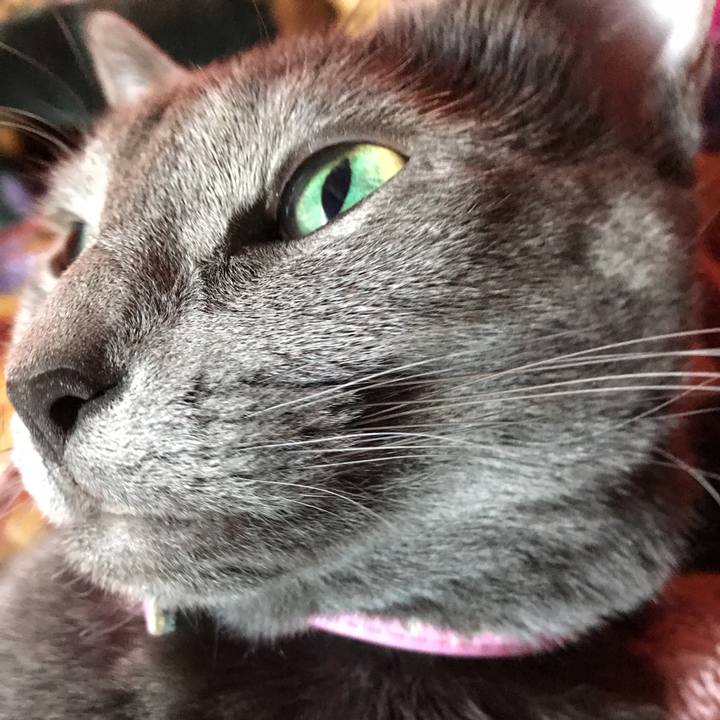 Aeb88169 ec4d 4827 ac96 ecc672244051 1515214159394