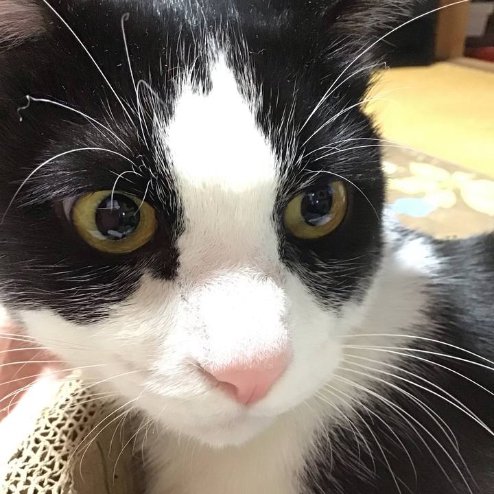 Aeb894ab 4fec 4a27 be86 5f7ab8e7cf58 1697367372002